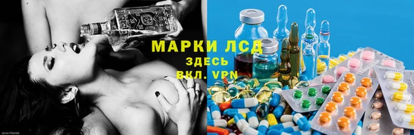 гашик Армянск