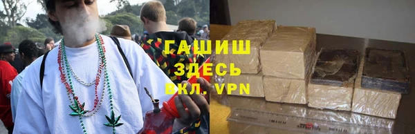 шишки Аркадак