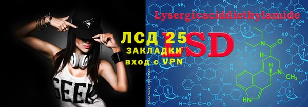шишки Аркадак