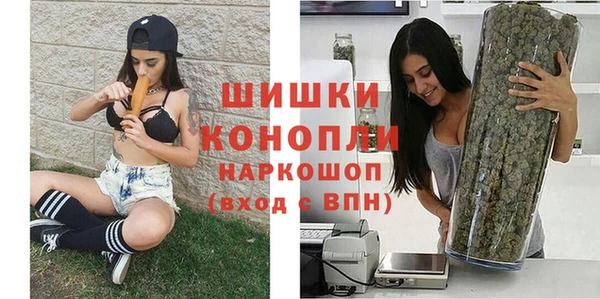 шишки Аркадак