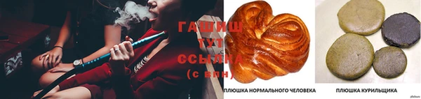 гашик Армянск