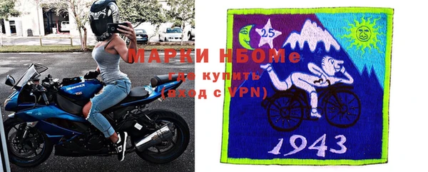 шишки Аркадак