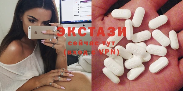 шишки Аркадак