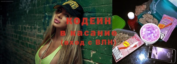 шишки Аркадак