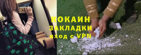 шишки Аркадак