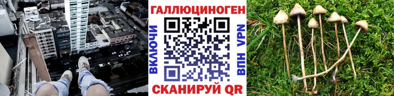 OMG сайт  Ростов  Галлюциногенные грибы Magic Shrooms  где купить наркоту 